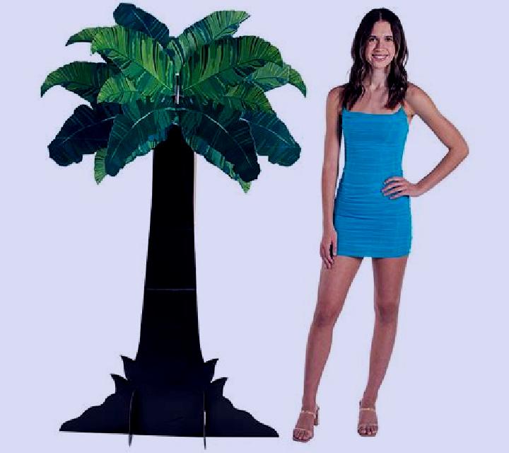 Palm Nights online slot
