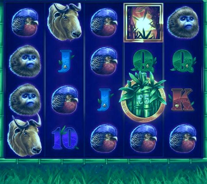 Panda Bills slot game