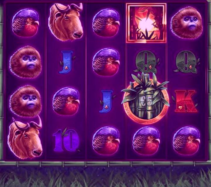 Panda Bills slot machine