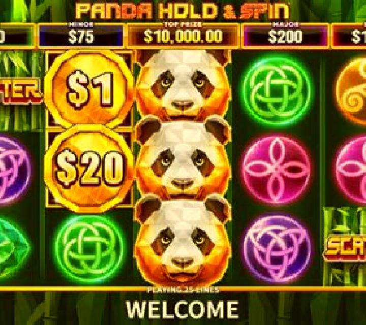 Panda Hold & Spin slot game