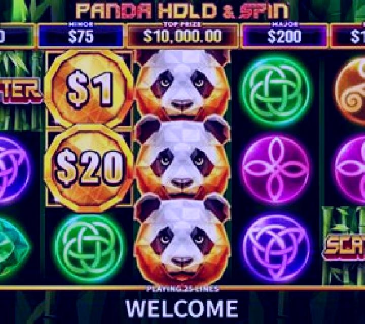 Panda Hold & Spin slot