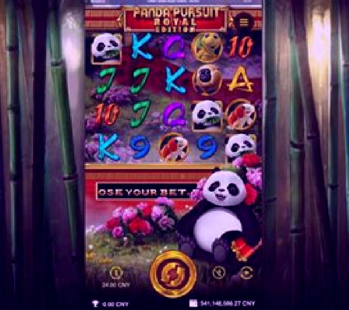 Panda Show Slots slot game