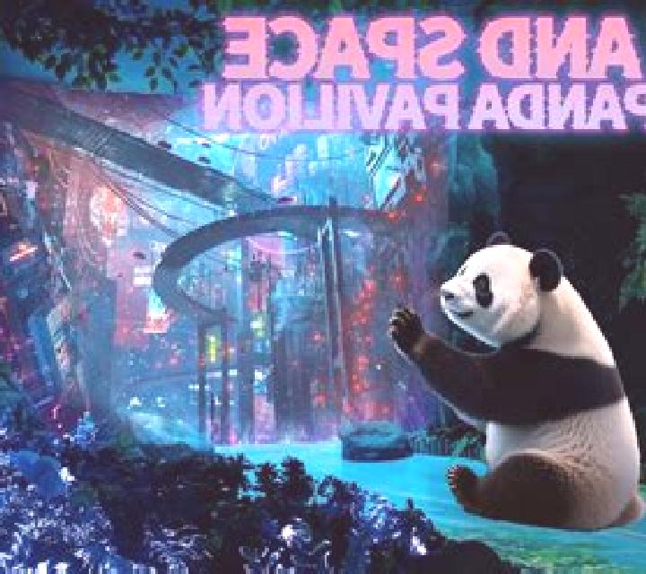 Panda Time online slot