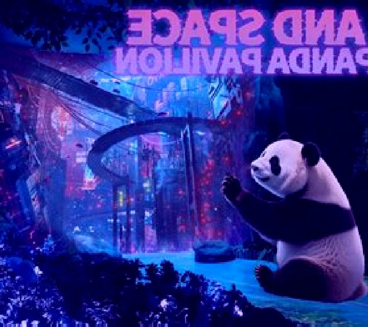 Panda Time slot game