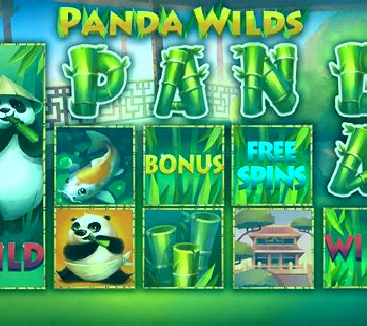 Panda Wilds slot
