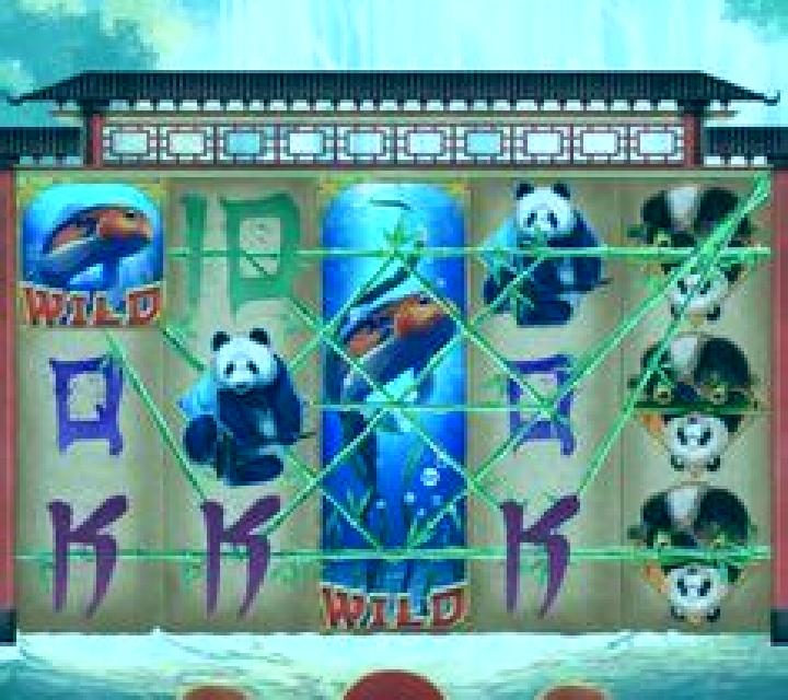 Pandas Go Wild online slot