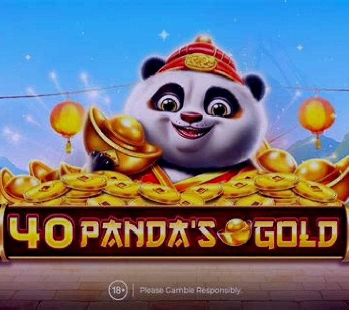 Panda s Gold (RTG) slot game