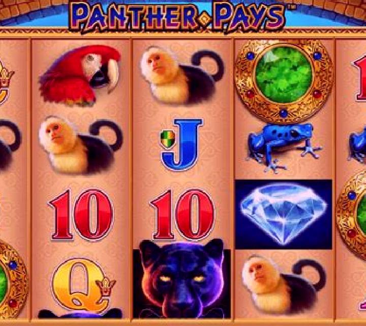 Panther Pays slot machine