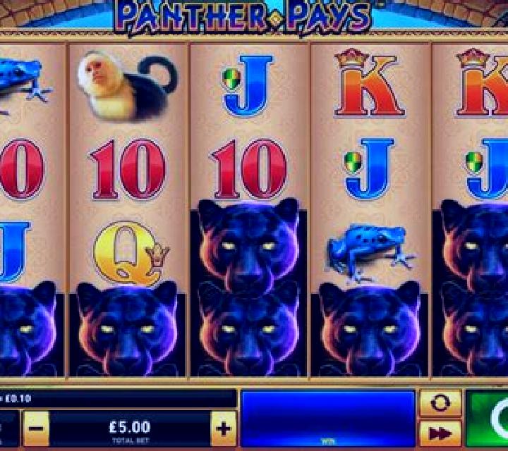 Panther Pays slot