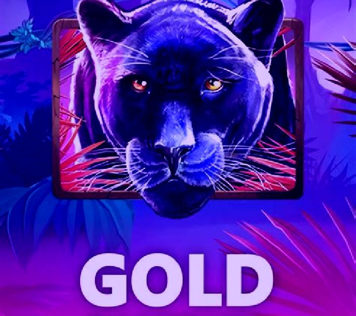 Panther Shadow slot game