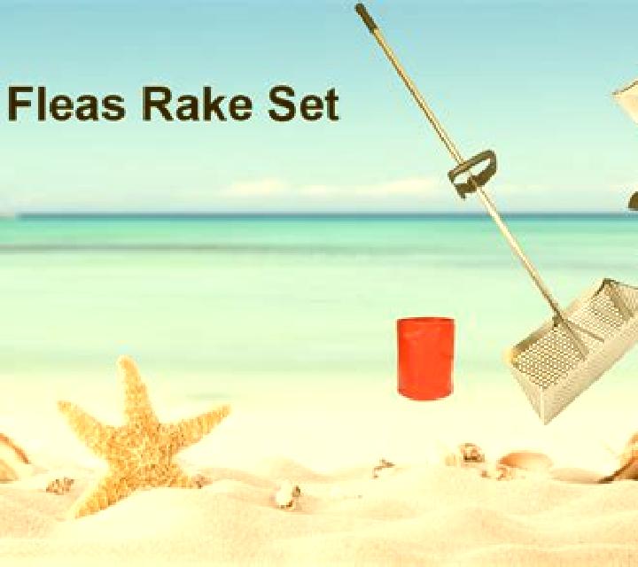 Paradise Beach (Red Rake) slot