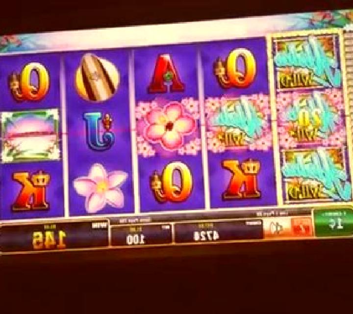 Paradise Delight slot machine