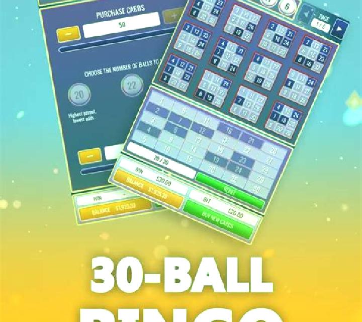 Park Bingo slot game