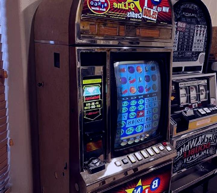 Park Bingo slot machine