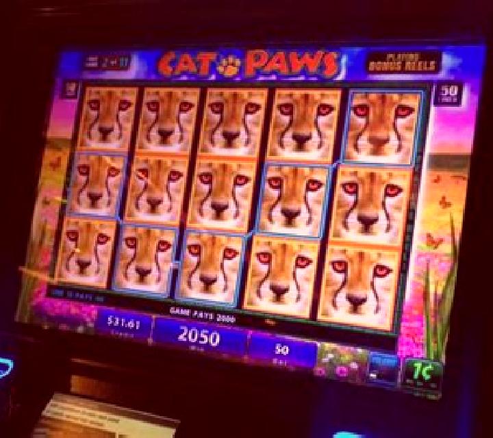 Party Paws slot machine