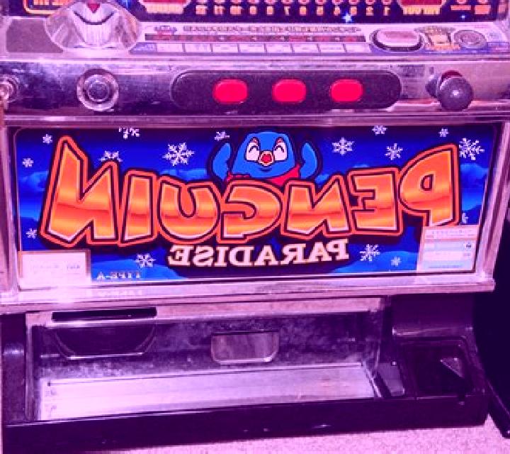 Penguin Expedition slot machine