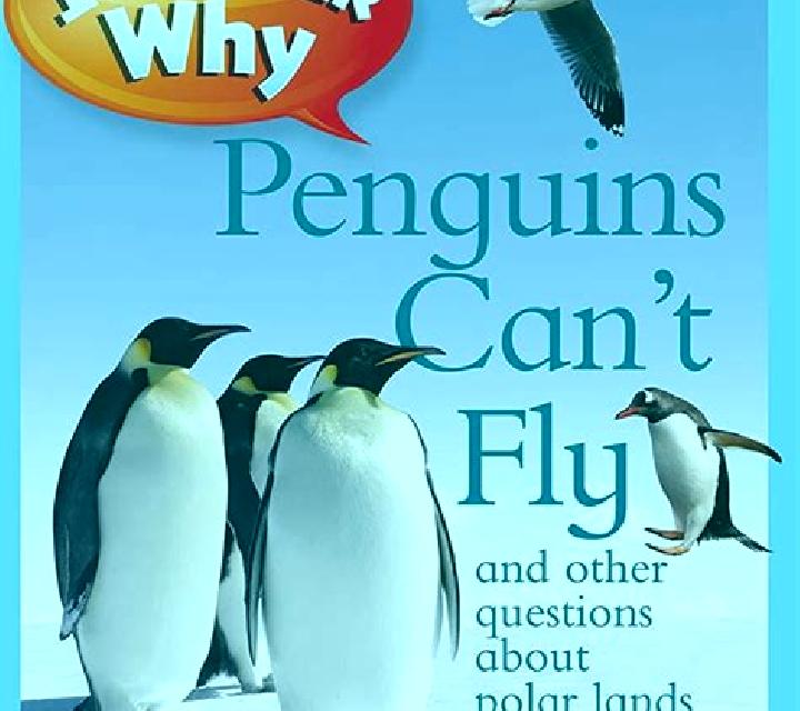 Penguins Can Fly slot game