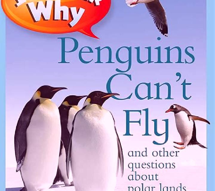 Penguins Can Fly slot machine