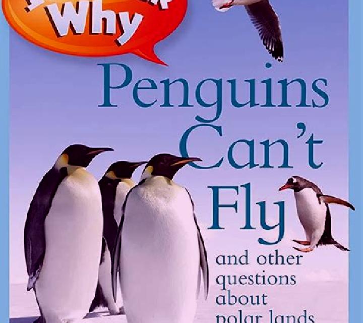 Penguins Can Fly slot