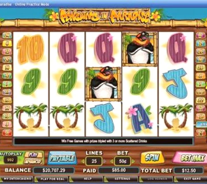 Penguins in Paradise slot machine