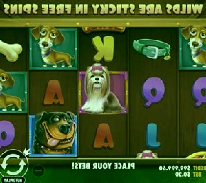 Pet House online slot