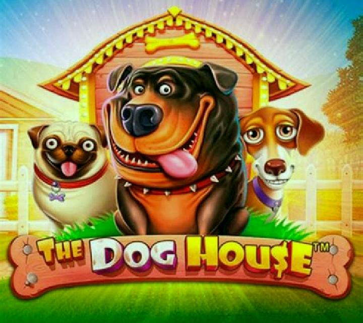 Pet House slot game