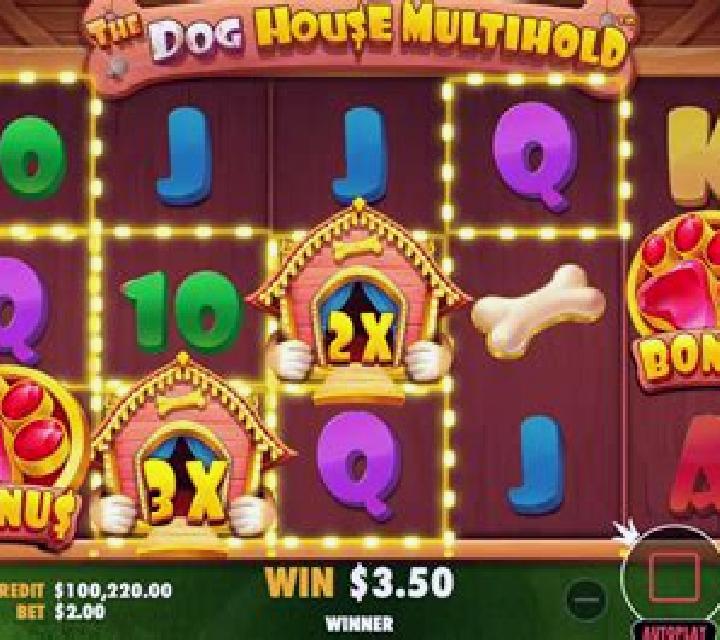Pet House slot