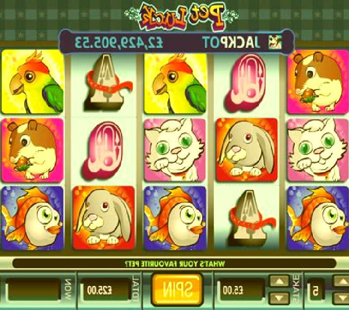 Pet Luck slot game