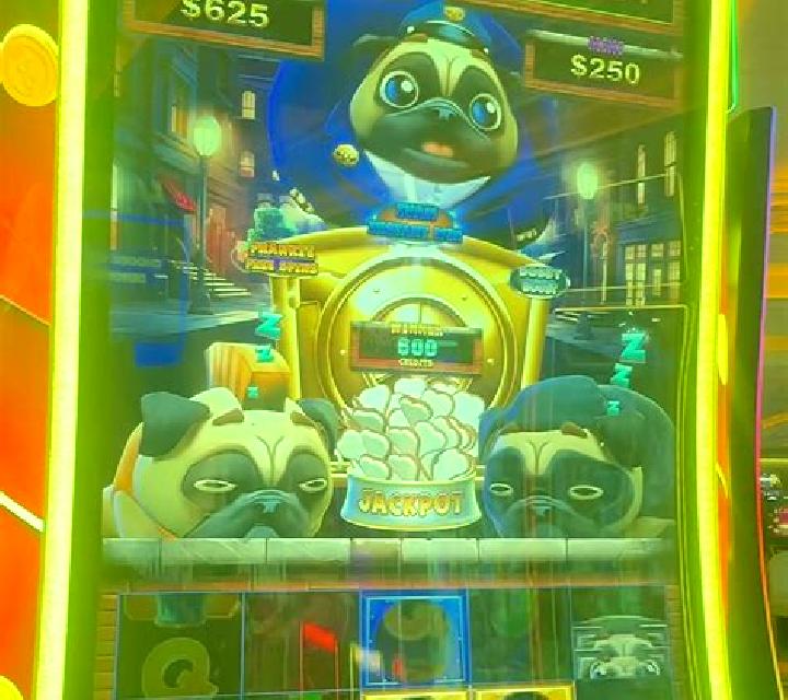 Pets Payday slot machine