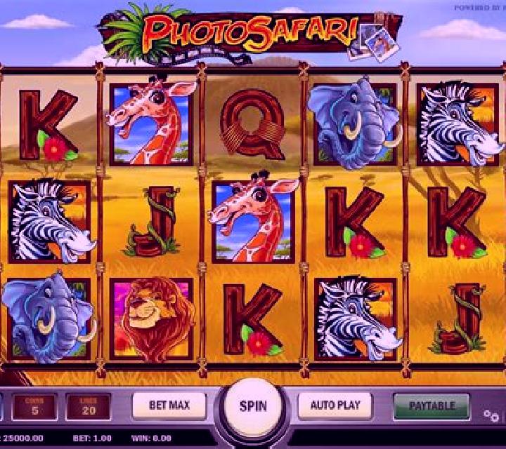 Photo Safari slot machine