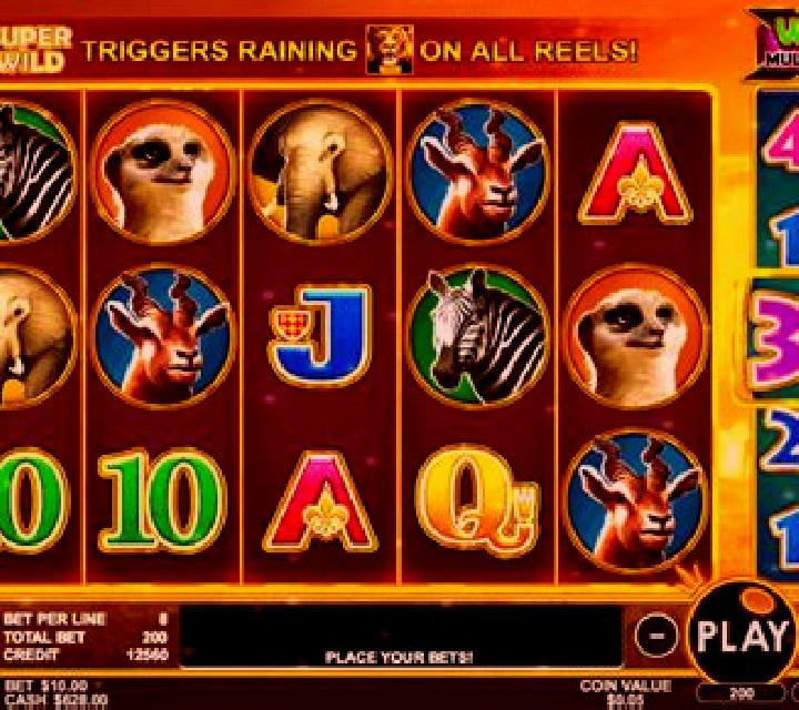 Photo Safari slot