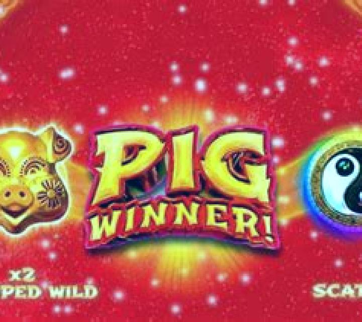 Pig Winner slot game