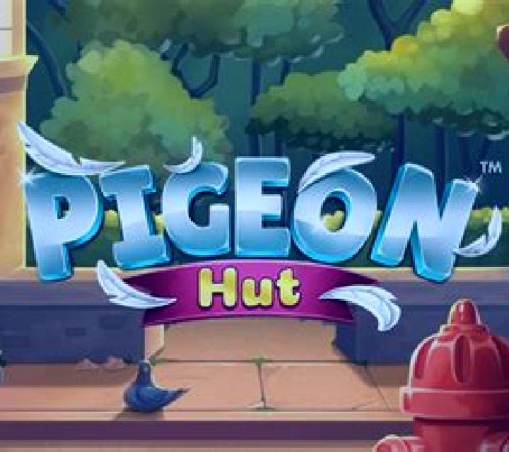 Pigeon Hut slot