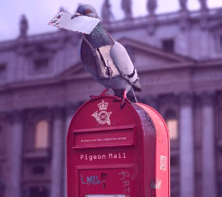 Pigeon Mail slot game