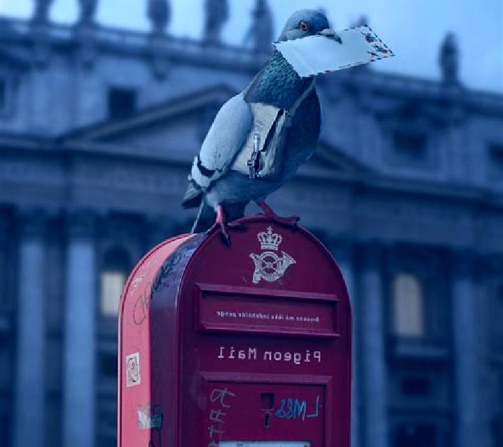 Pigeon Mail slot machine