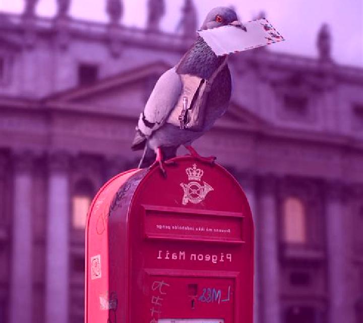 Pigeon Mail slot