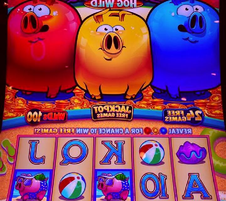 Pilot Piggy slot machine