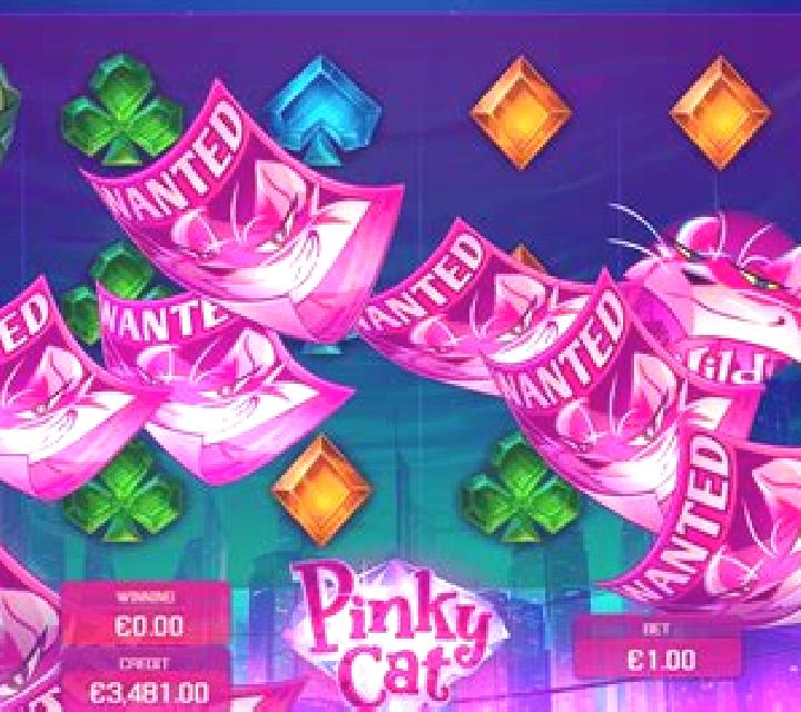 Pinky Cat slot