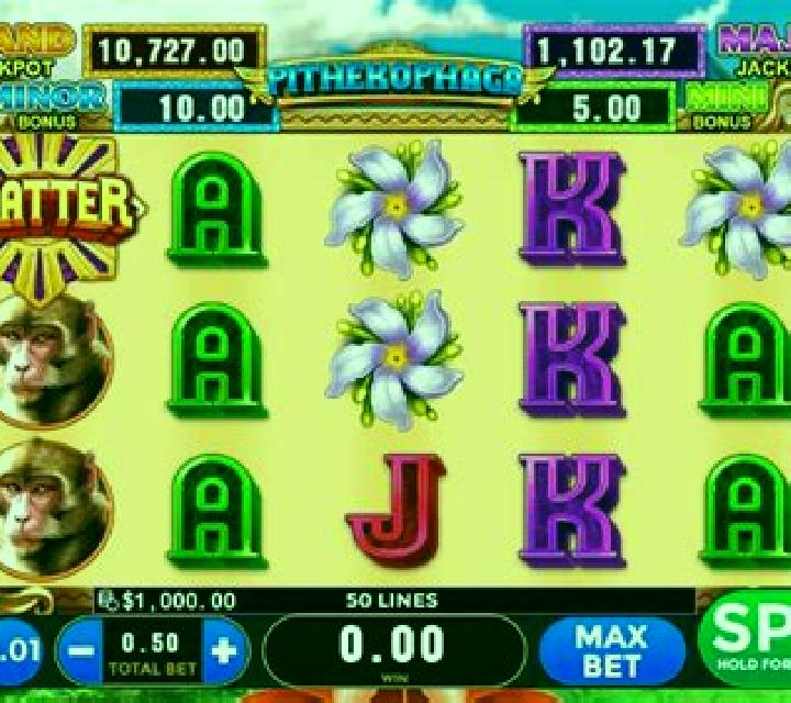 Pithekophaga slot