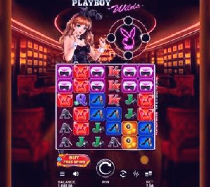PLAYBOY (Capecod Gaming) slot game