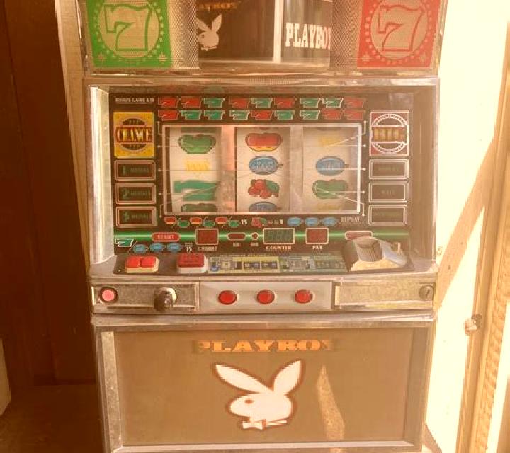 Playboy Gems and Desires slot