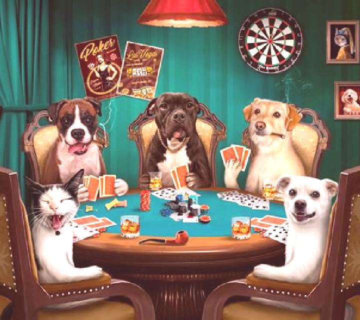 Poker Dogs slot game