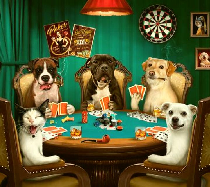 Poker Dogs slot machine