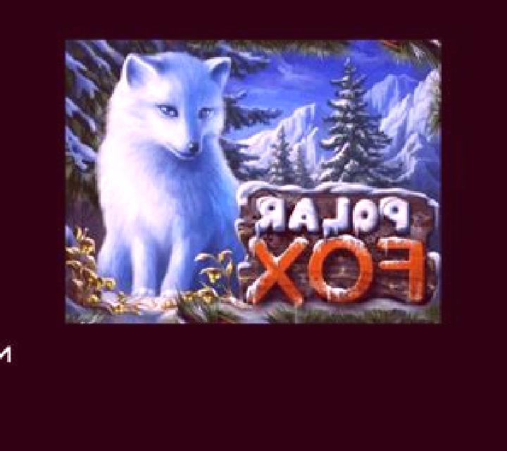Polar Fox slot machine