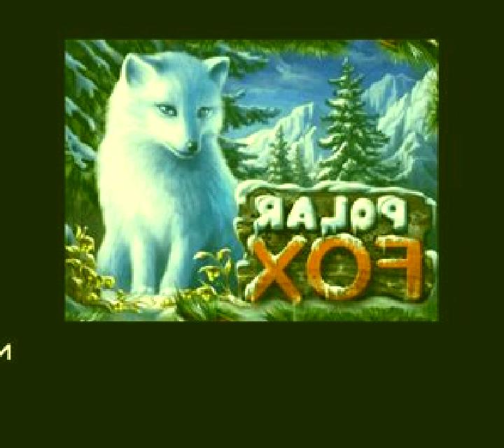 Polar Fox slot