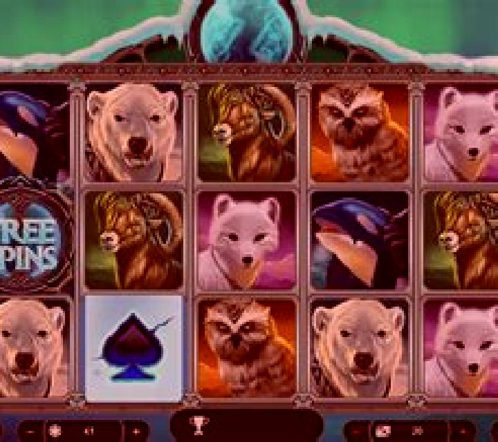 Polar Magic slot