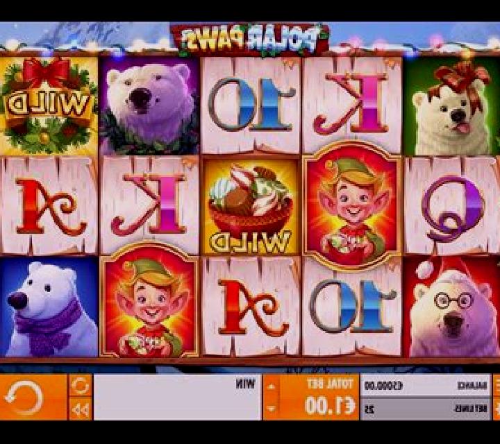Polar Paws slot game
