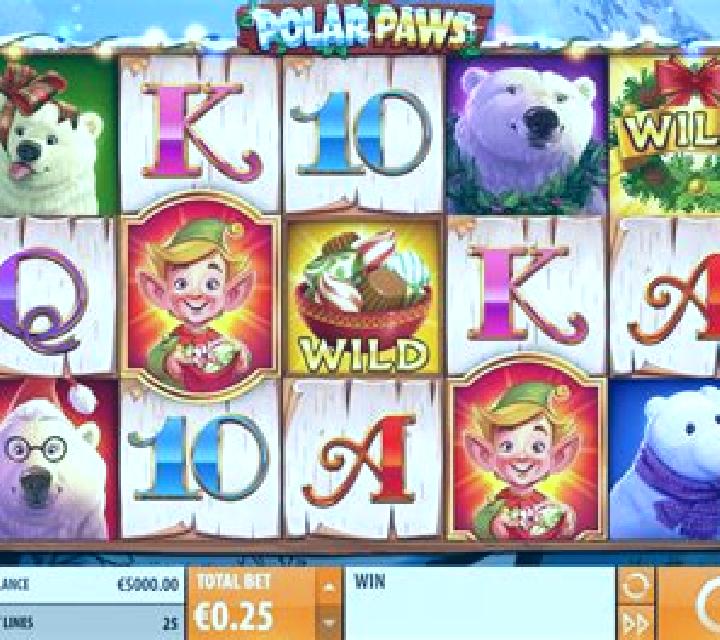 Polar Paws slot