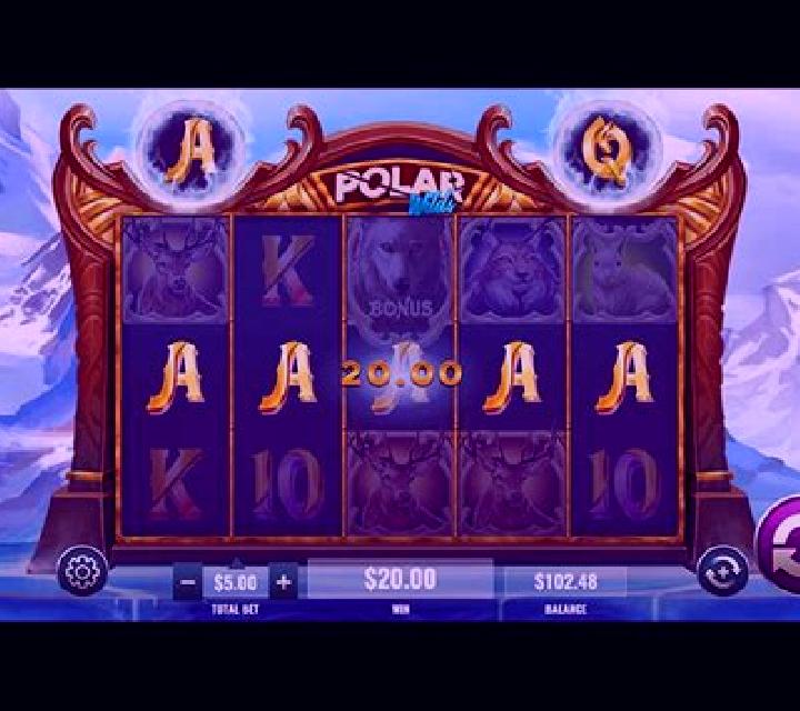 Polar Riches online slot