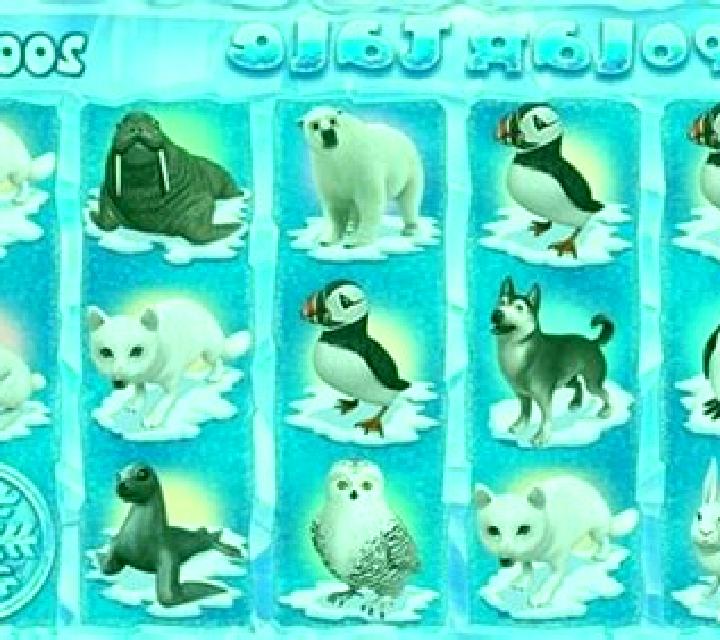 Polar Tale slot